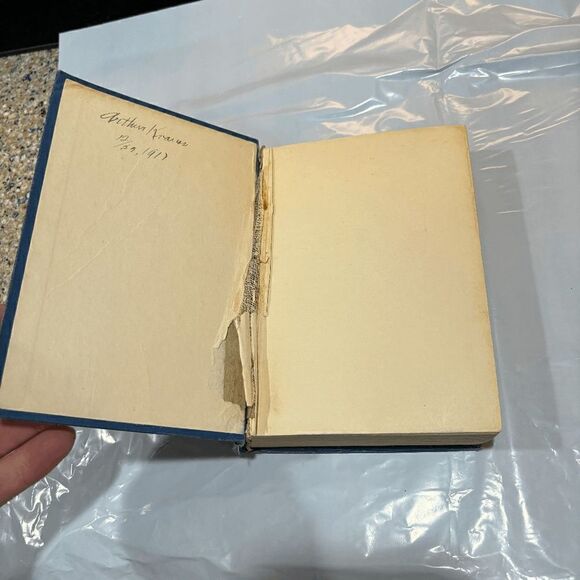 Vintage 1917 Elaine Sterne "The Road Of Ambition" 1st edition Ill Ray N. Jackson - Picture 5 of 11